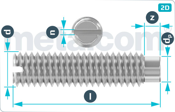 Set screws slotted with full dog point - DIN 417