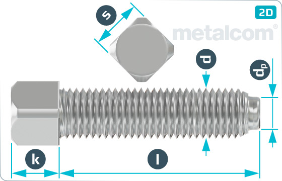 Square head bolts with half dog point - DIN 479