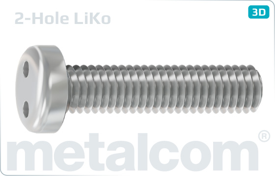 Security screws two hole drive pan head - LiKo