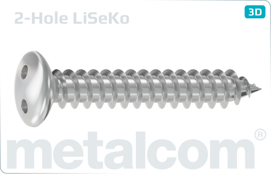 Security screws tapping two hole drive oval countersunk head screws - LiSeKo