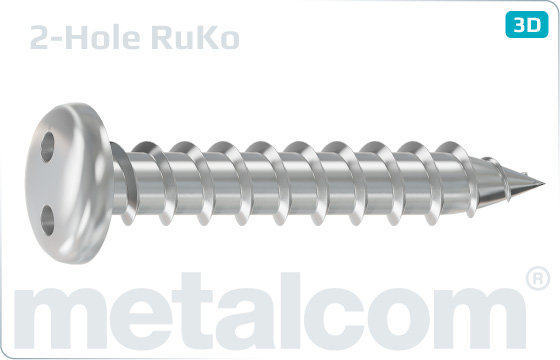 Security screws tapping two hole drive truss head screws - RuKo