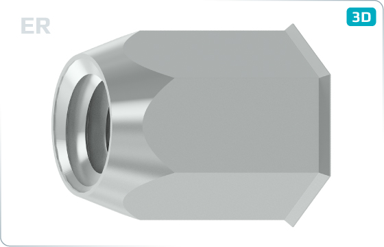 Threaded inserts reduced head and hexagonal shank - ER