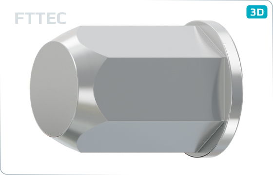 Threaded inserts cylindrical head and hexagonal shank, closed - FTTEC