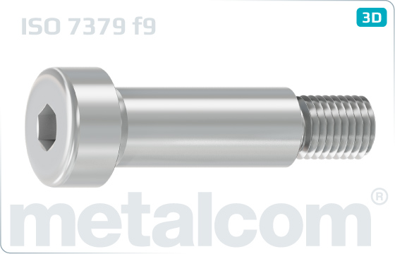 Hexagon socket screws fitted (f9) - ISO 7379 f9