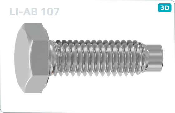 Sechskantschrauben für Rohrgerüst - LI-AB-107