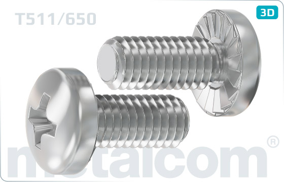 Cross recessed screws self locking pan head - T511/650